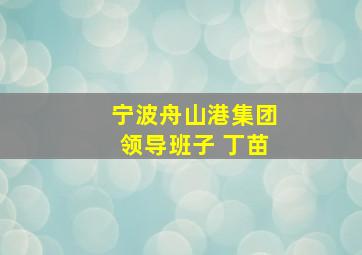 宁波舟山港集团领导班子 丁苗